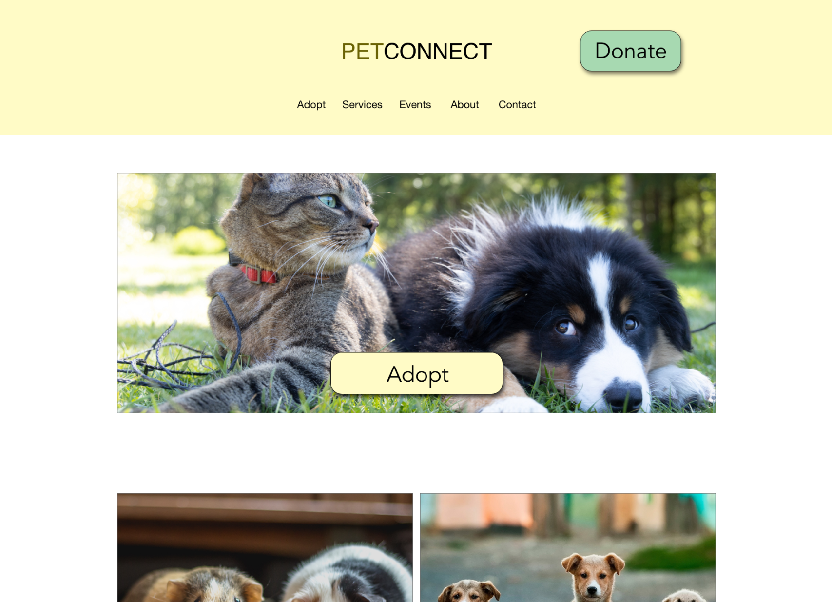 PetConnect webpage